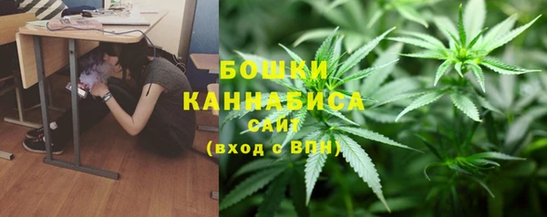 PSILOCYBIN Балахна