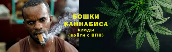 PSILOCYBIN Балахна
