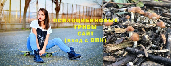 гидра Баксан