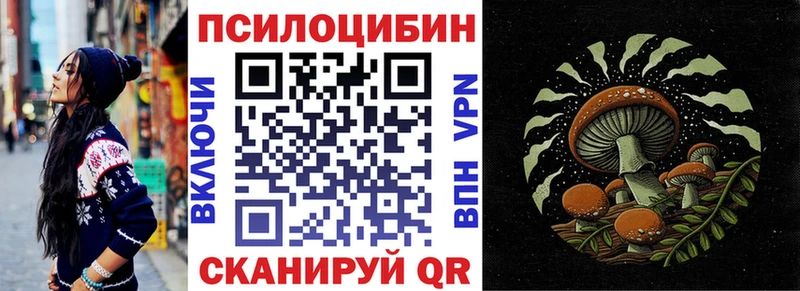 Псилоцибиновые грибы Psilocybe  Городище 